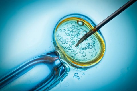http://wenzhou.qqkaixin.com/post/199.html|温州供卵助孕